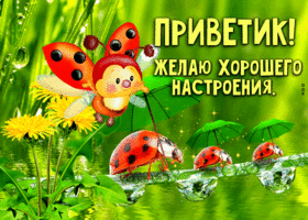Живописная летняя гиф-открытка Приветик! Желаю хорошего настроения