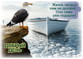 Жизнь ничего нам не должна. Она сама уже подарок
