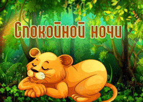 Жизнелюбивая открытка с львенком Спокойной ночи