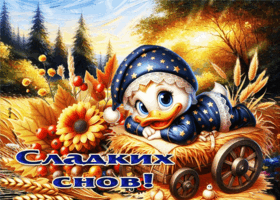 Спокойной ночи