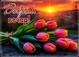 Жизнерадостная нежная гиф-открытка Добрый вечер